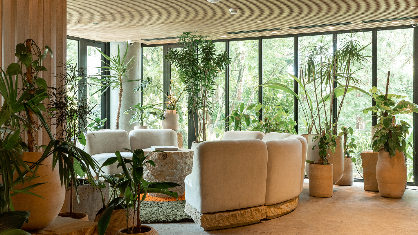 Sala de estar acogedora con abundantes plantas y muebles variados.