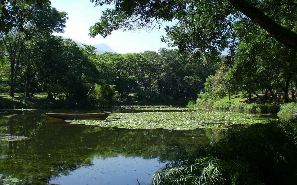 A boat sailing on a lake inside the botanical garden, surrounded by greenery and flowers